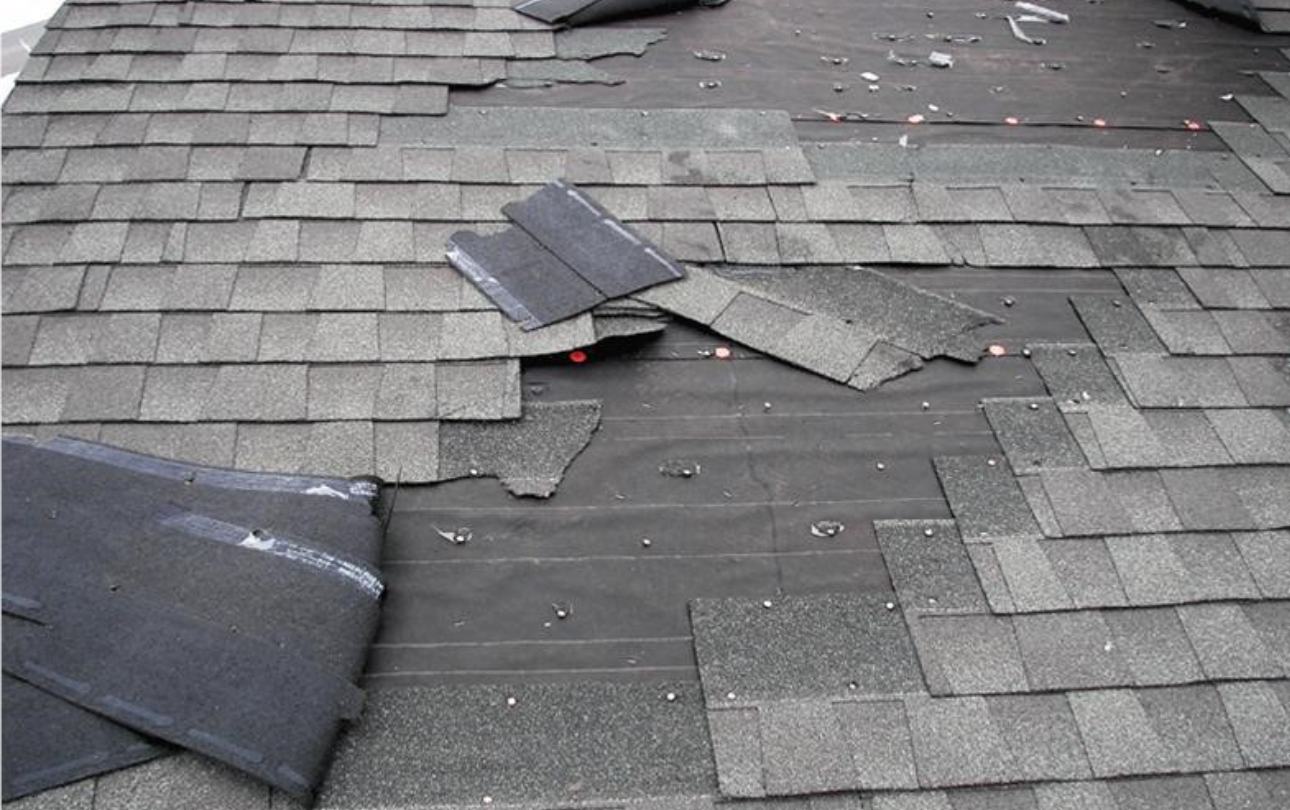 Wind-torn asphalt shingles lifted and missing, exposing underlayment and nail heads