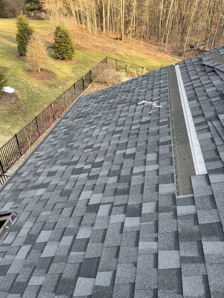 Eave Edge Leak Repair and Intake Vent Upgrade in West Michigan — photo 2 of 16
