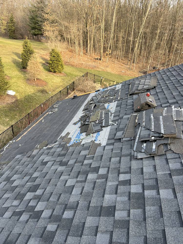 Eave Edge Leak Repair and Intake Vent Upgrade in West Michigan — photo 3 of 16