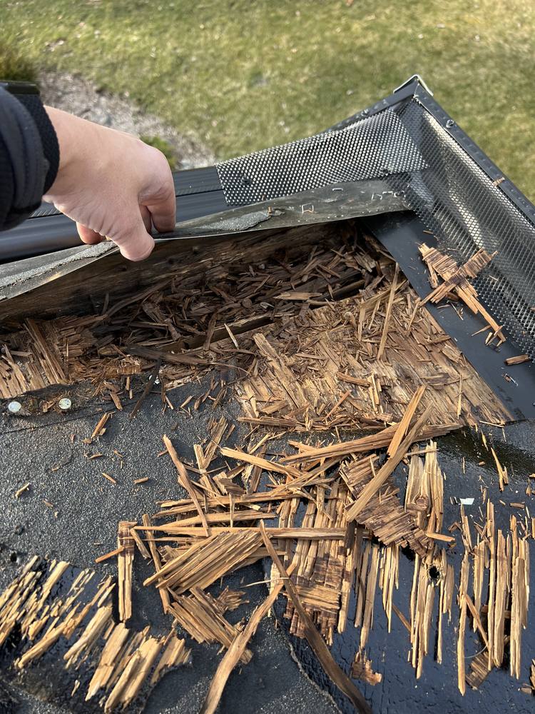 Eave Edge Leak Repair and Intake Vent Upgrade in West Michigan — photo 7 of 16