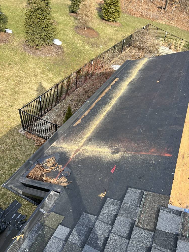 Eave Edge Leak Repair and Intake Vent Upgrade in West Michigan — photo 9 of 16