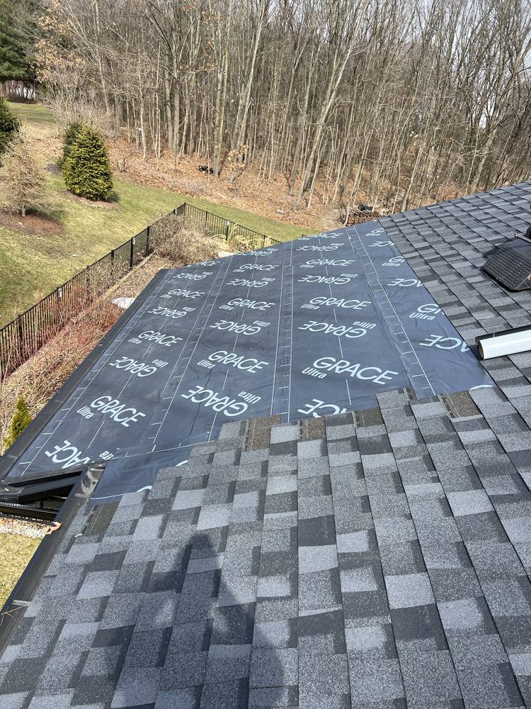 Eave Edge Leak Repair and Intake Vent Upgrade in West Michigan — photo 13 of 16