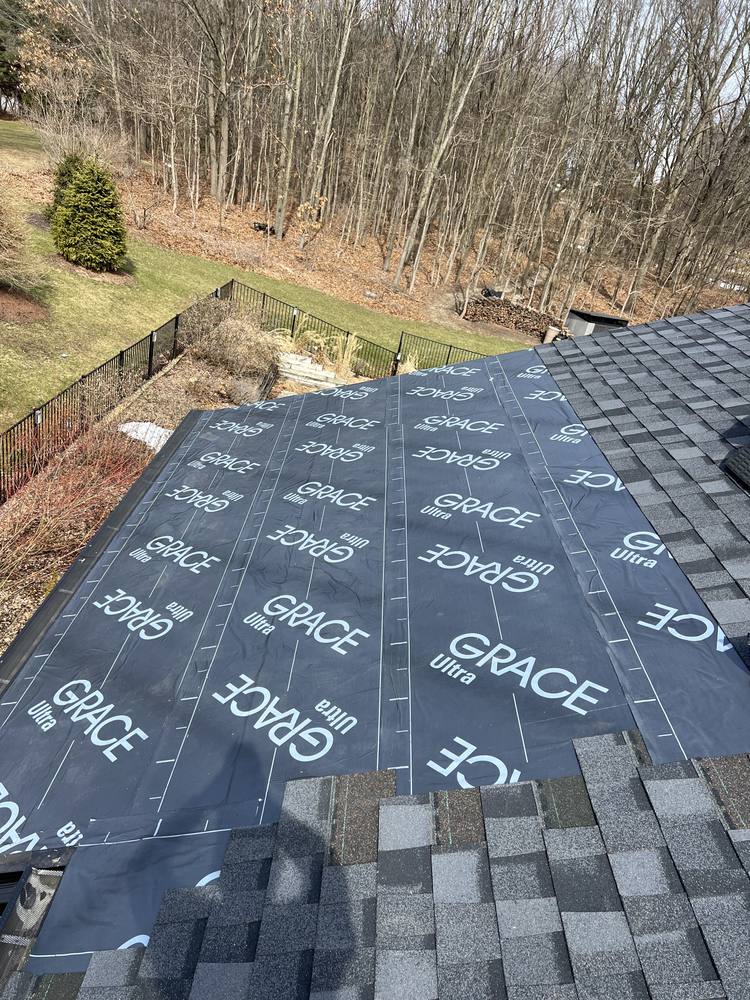 Eave Edge Leak Repair and Intake Vent Upgrade in West Michigan — photo 14 of 16