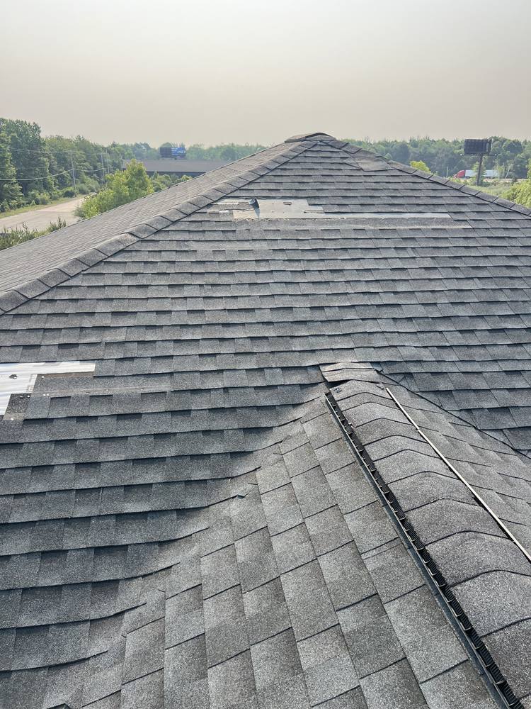Blown-Off Shingles in West Michigan — photo 5 of 10