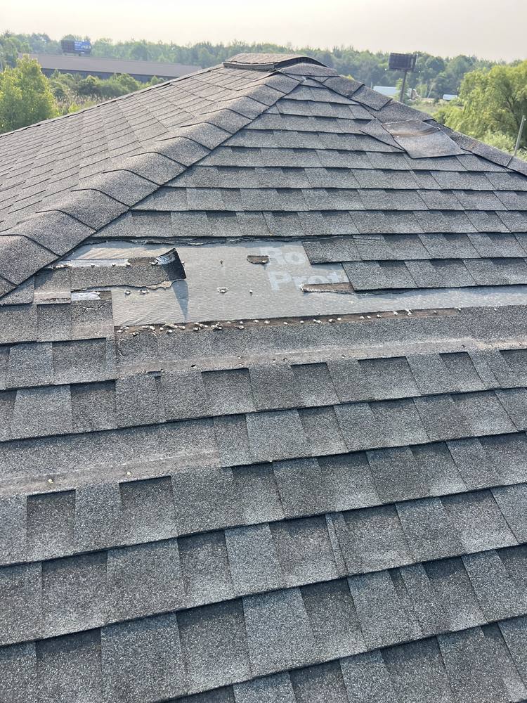Blown-Off Shingles in West Michigan — photo 6 of 10