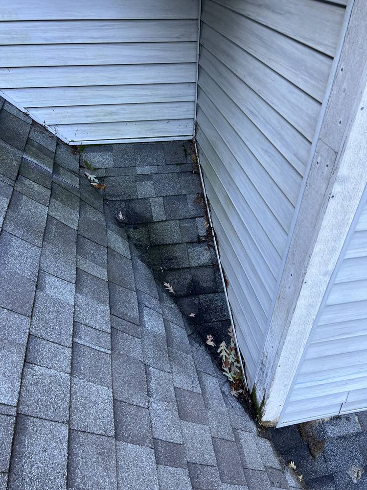Dead Valley Repair in West Michigan — photo 1 of 12