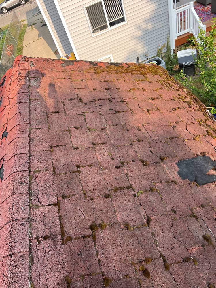 Garage Roof Rebuild in West Michigan — photo 12 of 35
