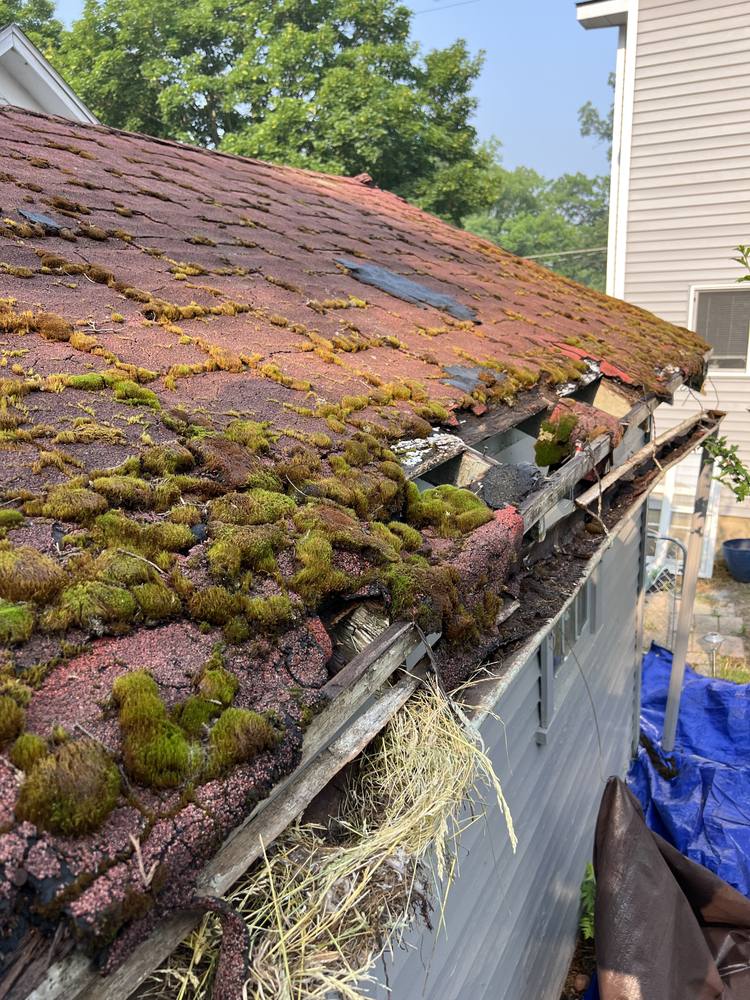Garage Roof Rebuild in West Michigan — photo 13 of 35