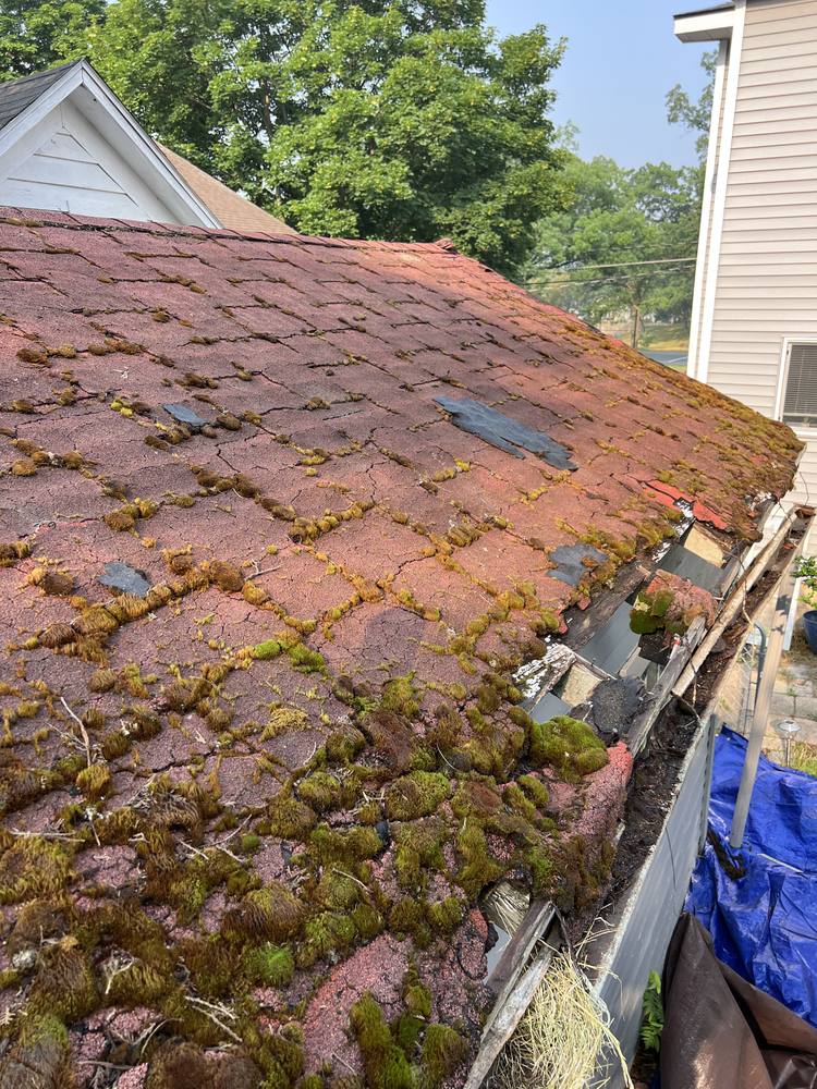 Garage Roof Rebuild in West Michigan — photo 14 of 35