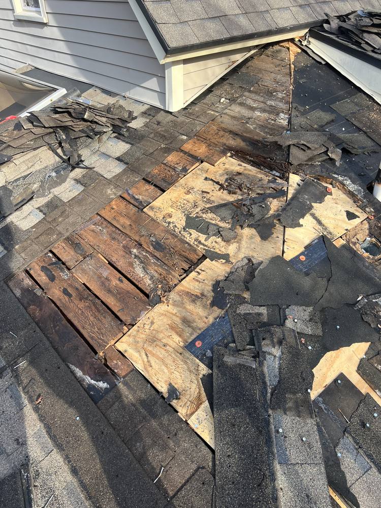 Hip Roof Rebuild in West Michigan — photo 6 of 22