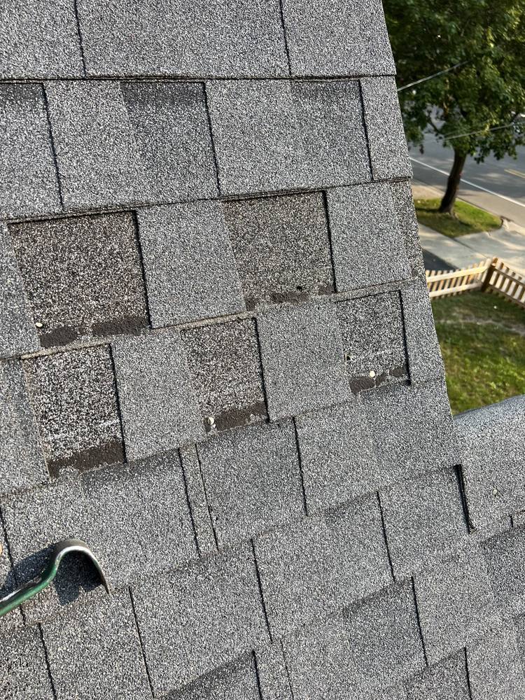 Missing Shingles Replaced in West Michigan — photo 2 of 4