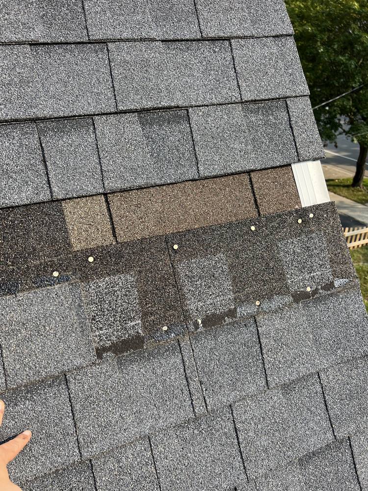 Missing Shingles Replaced in West Michigan — photo 3 of 4