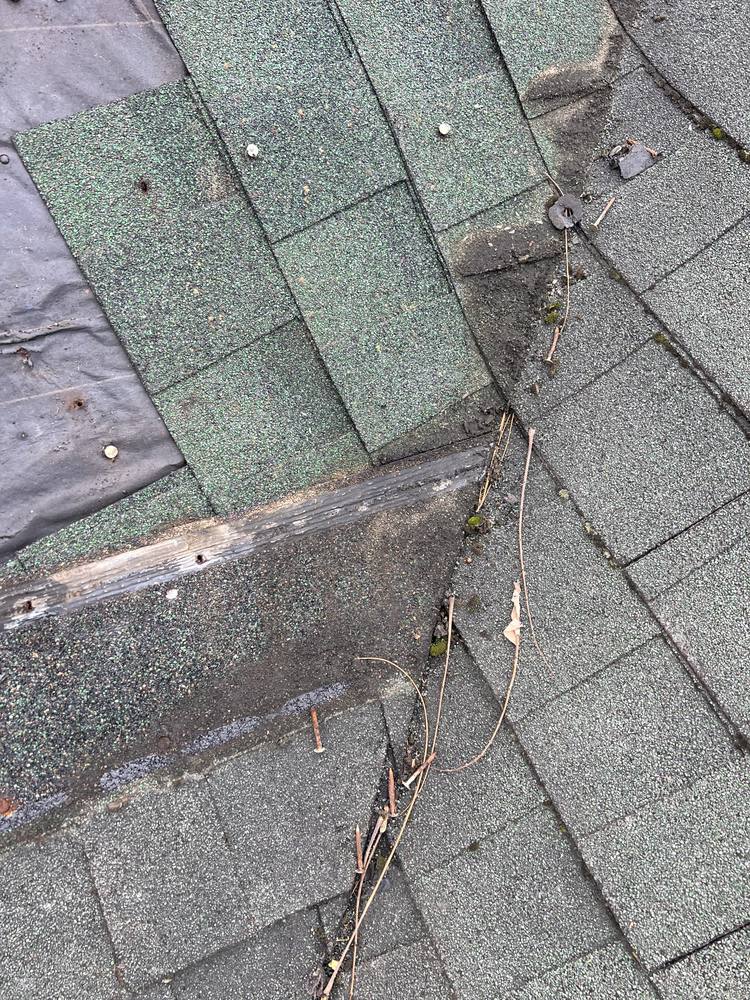 Pitch Intersection and Eave Edge Repair in West Michigan — photo 6 of 24