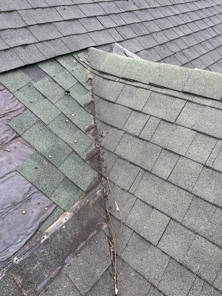 Pitch Intersection and Eave Edge Repair in West Michigan — photo 7 of 24