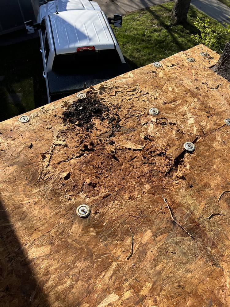 Residential EPDM (Rubber) Flat Roof in West Michigan — photo 7 of 55