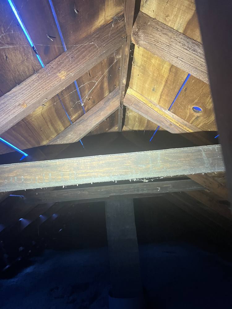 Shingle Roof Re-Frame in West Michigan — photo 1 of 27