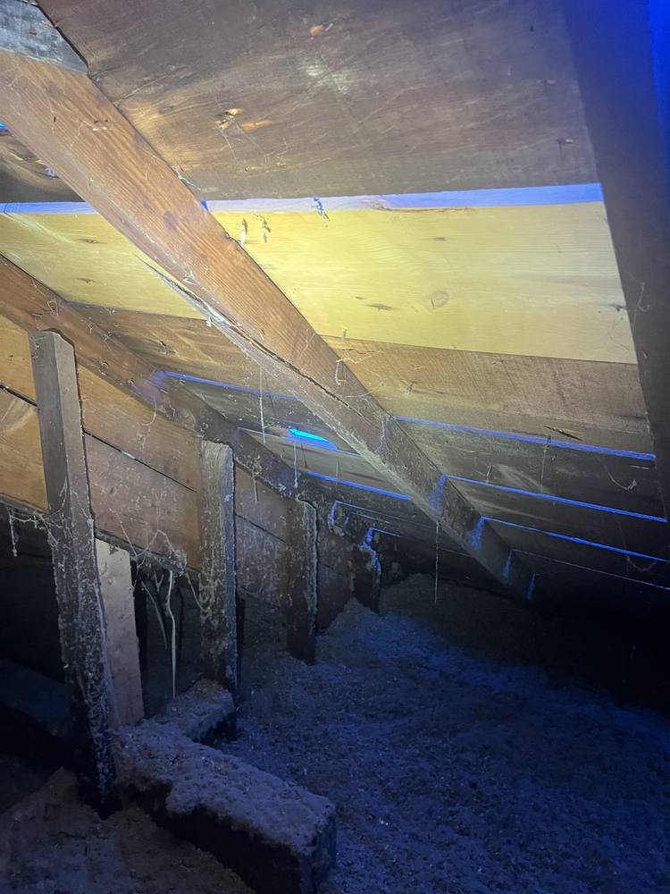 Shingle Roof Re-Frame in West Michigan — photo 2 of 27