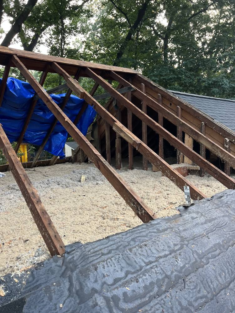 Shingle Roof Re-Frame in West Michigan — photo 8 of 27