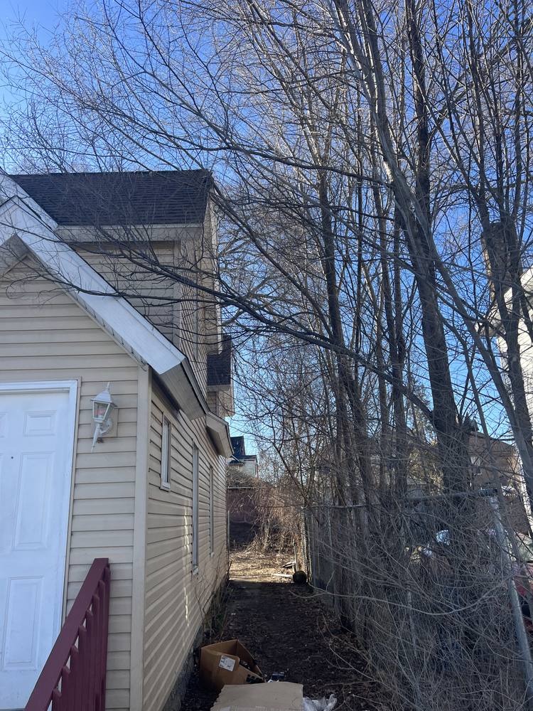 Tree Damage to a Roof in West Michigan — photo 1 of 17