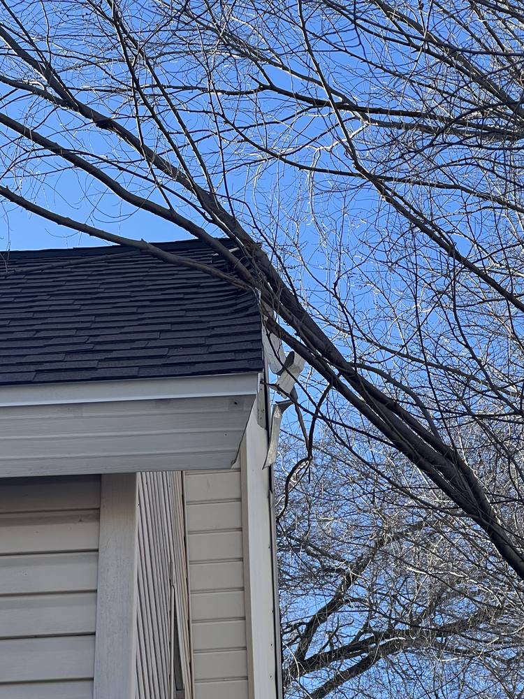 Tree Damage to a Roof in West Michigan — photo 2 of 17