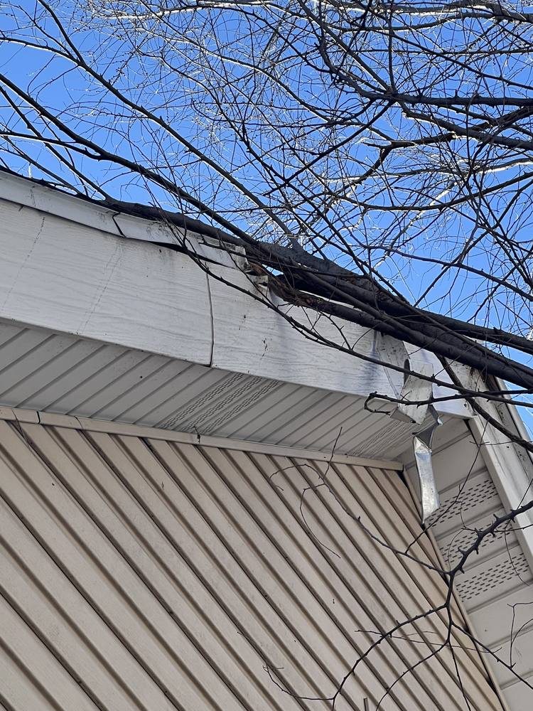 Tree Damage to a Roof in West Michigan — photo 3 of 17