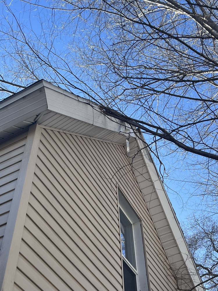 Tree Damage to a Roof in West Michigan — photo 4 of 17