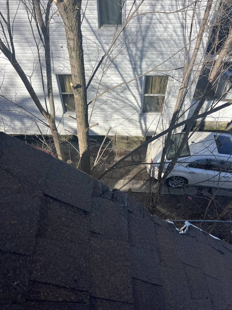 Tree Damage to a Roof in West Michigan — photo 9 of 17