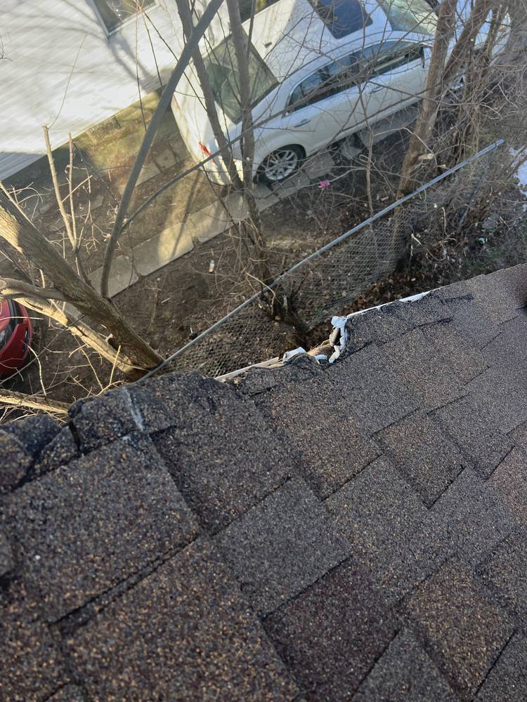 Tree Damage to a Roof in West Michigan — photo 10 of 17