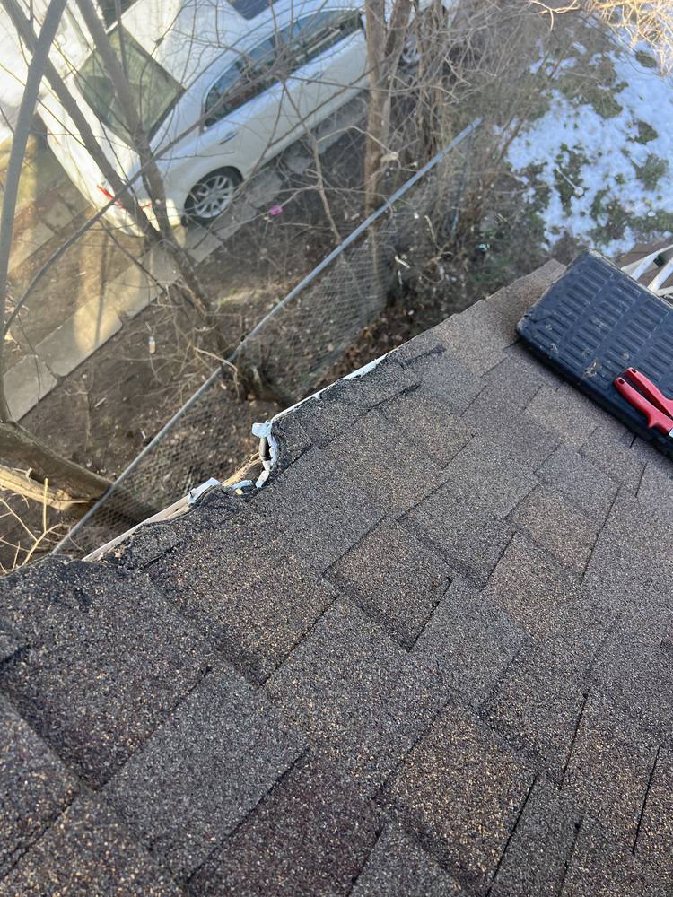 Tree Damage to a Roof in West Michigan — photo 11 of 17