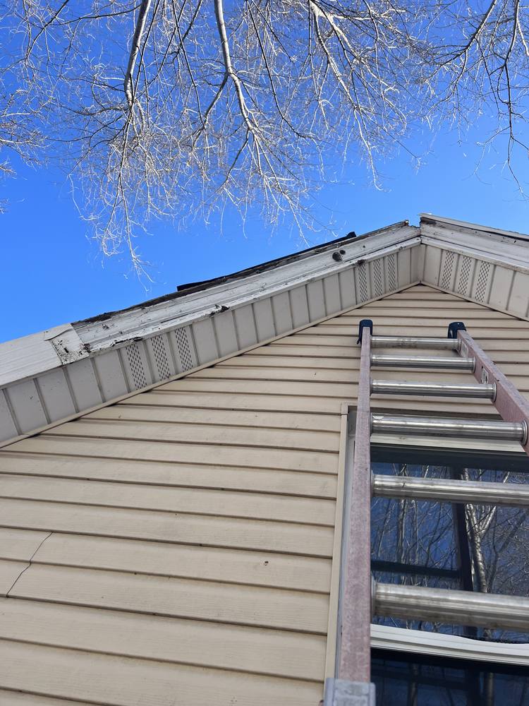 Tree Damage to a Roof in West Michigan — photo 14 of 17