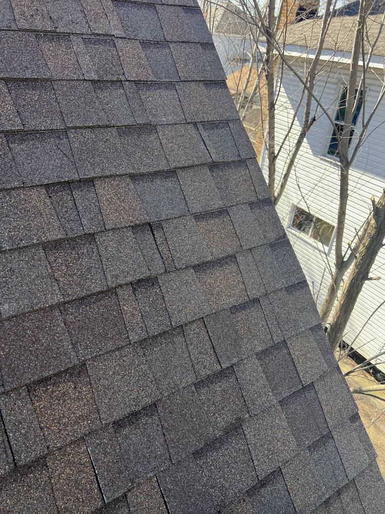 Tree Damage to a Roof in West Michigan — photo 15 of 17