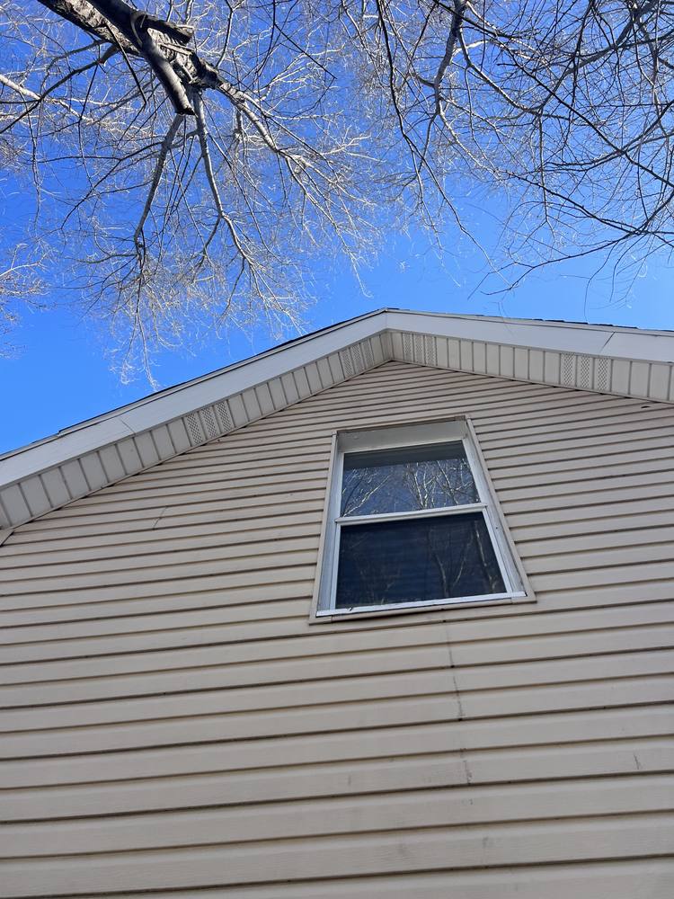 Tree Damage to a Roof in West Michigan — photo 16 of 17