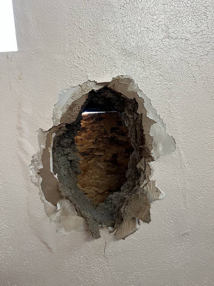 Two Skylights Replaced in West Michigan — photo 16 of 29