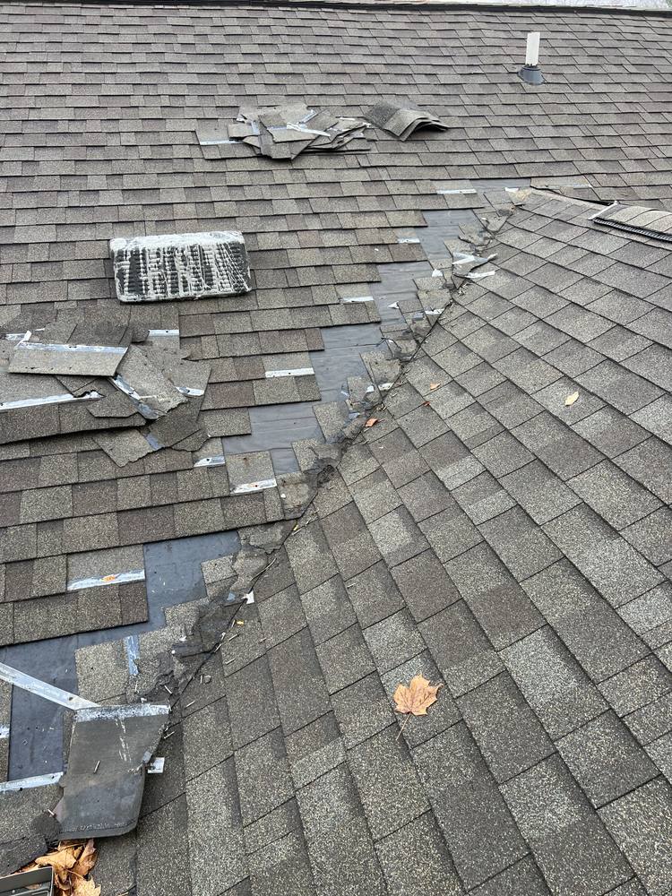 Valley Replacement in West Michigan — photo 3 of 33