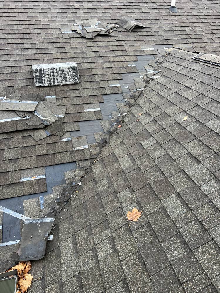 Valley Replacement in West Michigan — photo 4 of 33