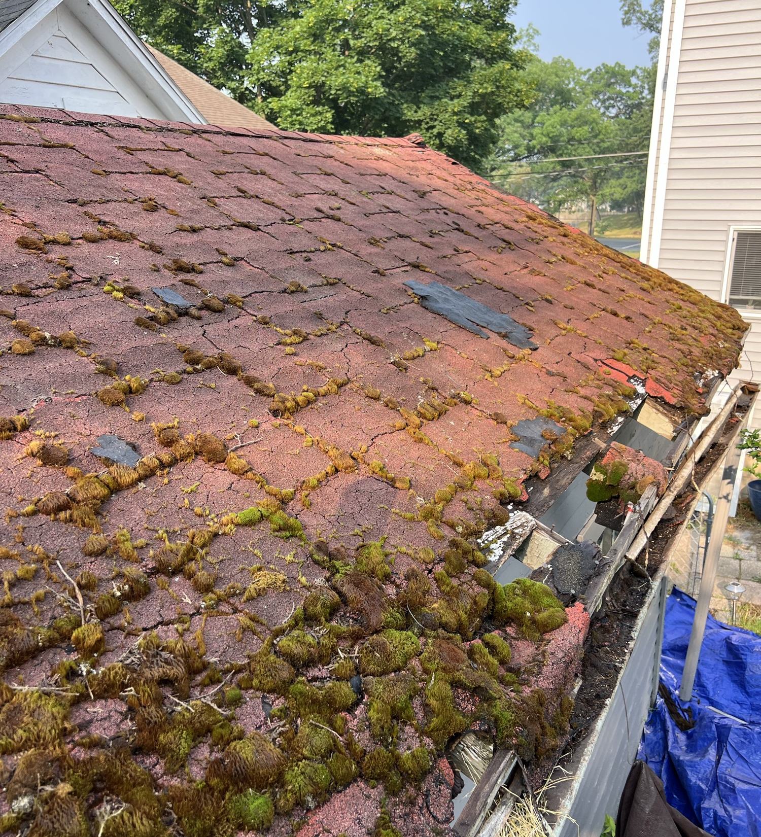 Aging asphalt shingle roof covered in moss, with cracked and missing shingles and a rotted edge